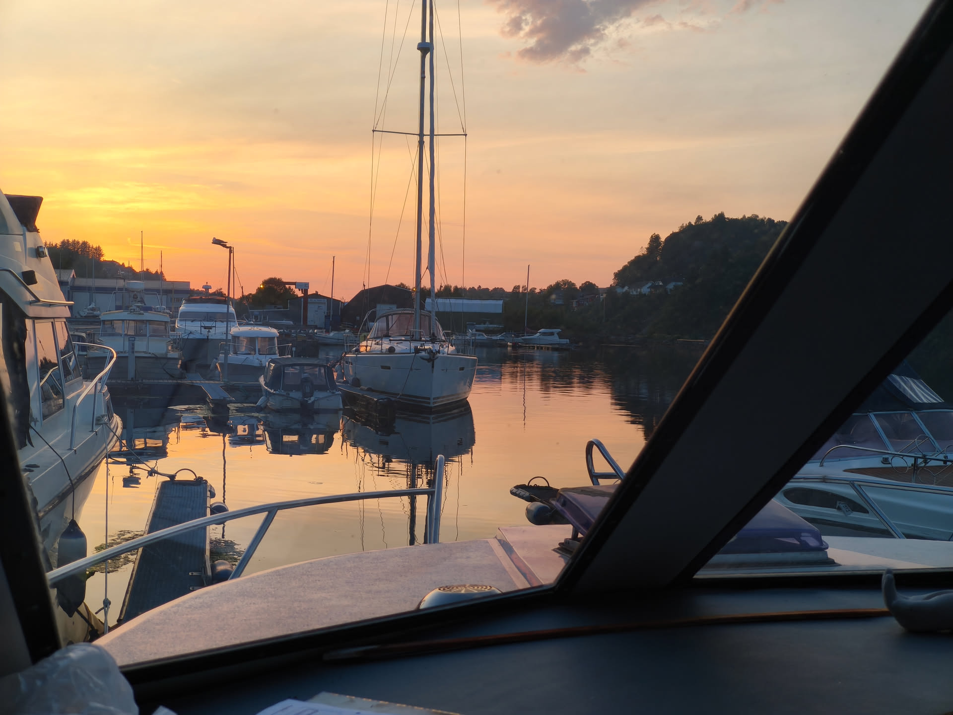 Tur til Måseholmen 33. Juni